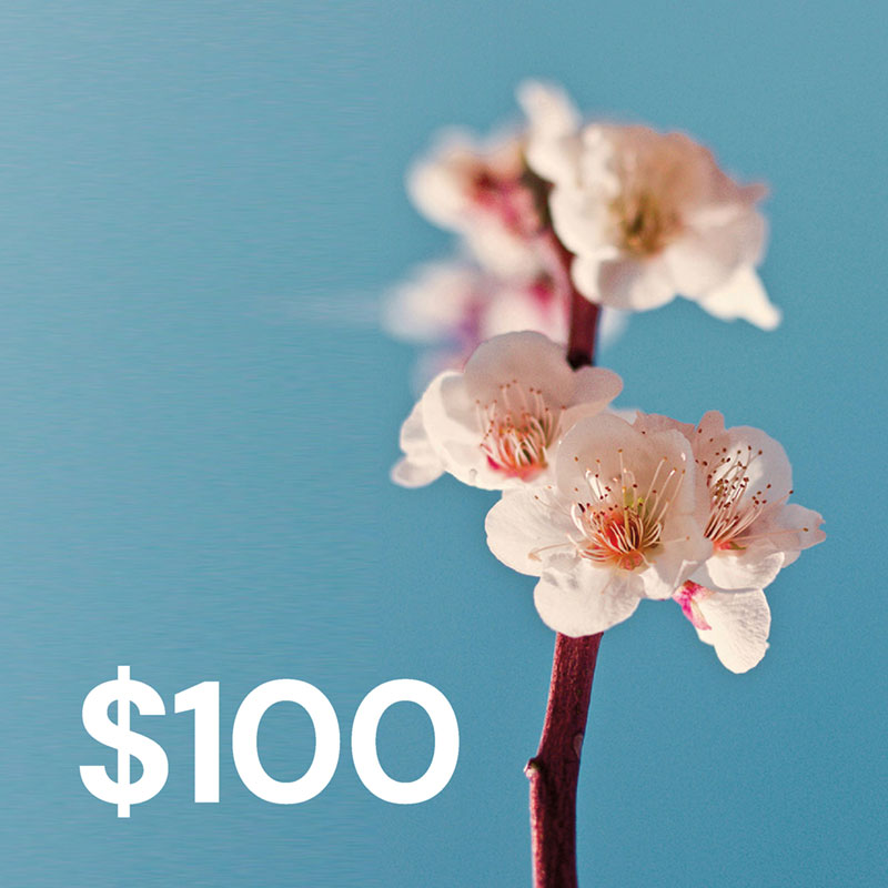 parker-reiki-gift-certificate-$100 Parker Reiki $100 gift certificate toward Reiki, Feng Shui, Space Clearing or Mentoring