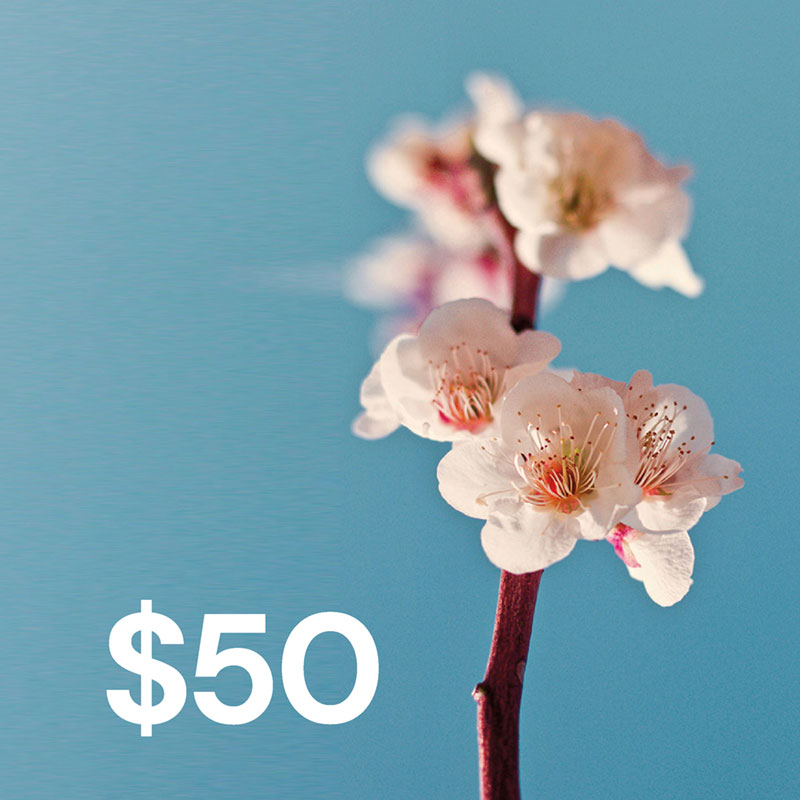 parker-reiki-gift-certificate-$50 Parker Reiki $50 gift certificate toward Reiki, Feng Shui, Space Clearing or Mentoring